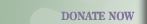 Donate Now