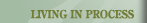 Living In Process